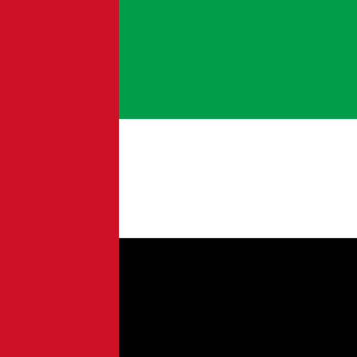 flag square 500 (13)