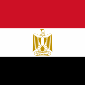 flag square 500 (15)
